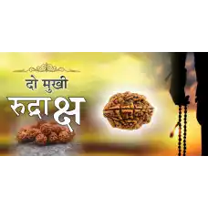 2 Mukhi Rudraksh (4.0)